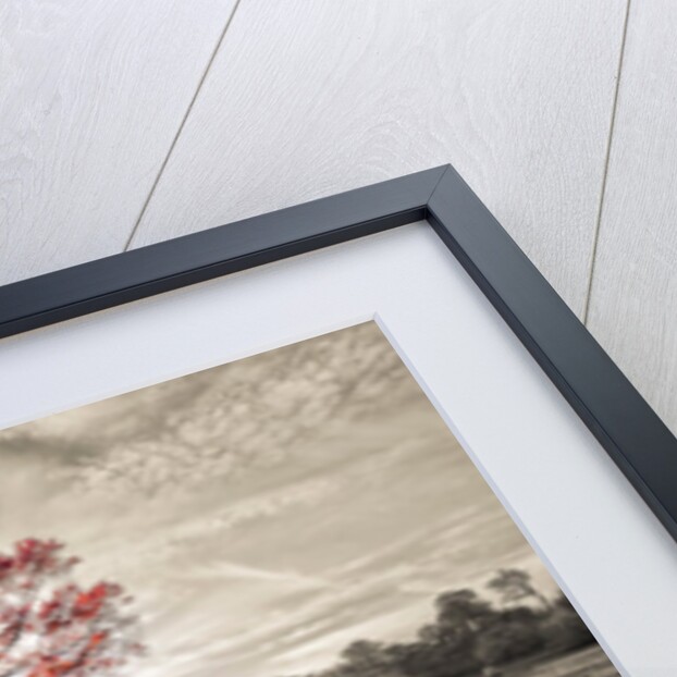 Single tree at autumn by Assaf Frank